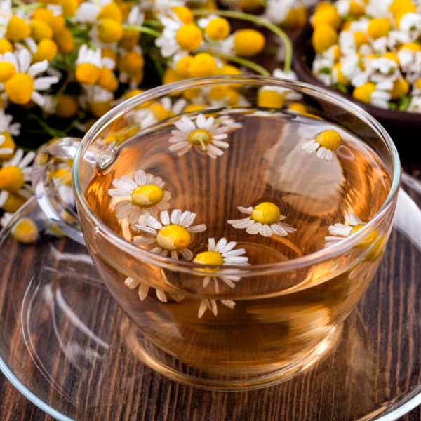 دمنوش بابونه برای لاغری